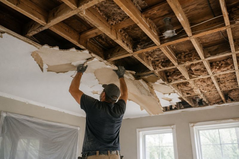 Ceiling Removal Service in Houston, TX